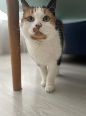 Lola