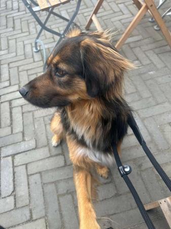 Pablo