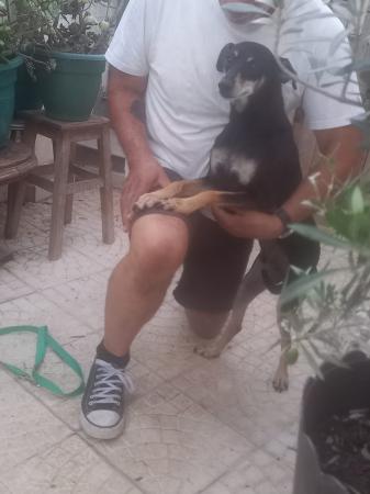 Faisca