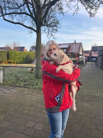 Floris