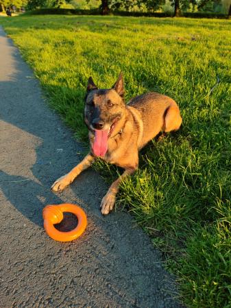 Maya