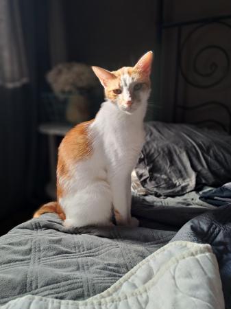 Eros