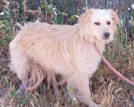 Barbi