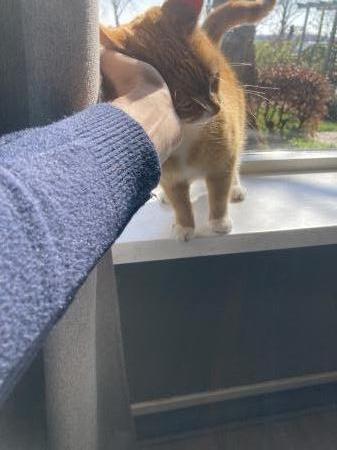 Kiki