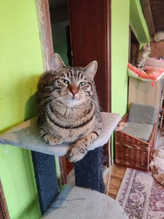 Tobby
