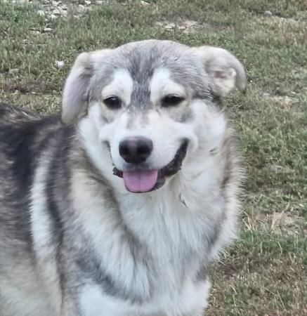 Benny