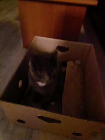 Milka