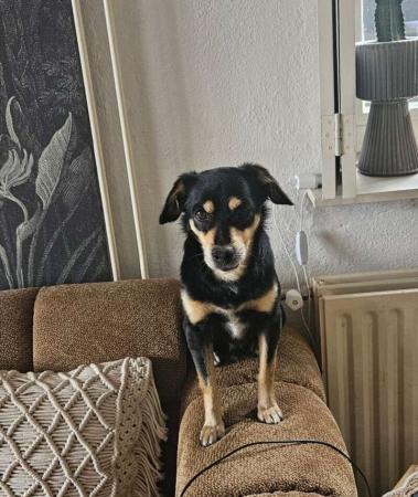 Peppe