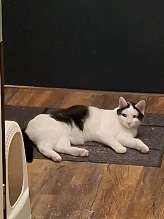 Milo