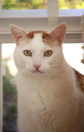 Eddy