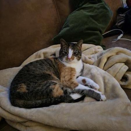 Kiki