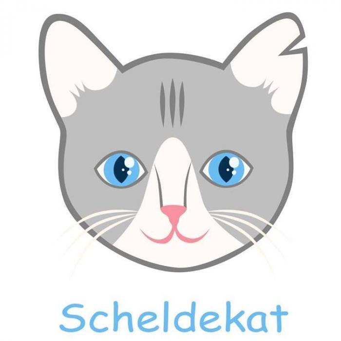 STICHTING SCHELDEKAT