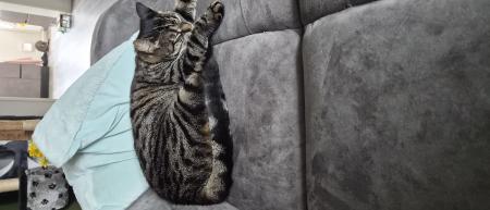 Zoe