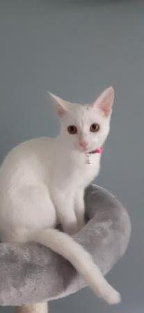 Noortje