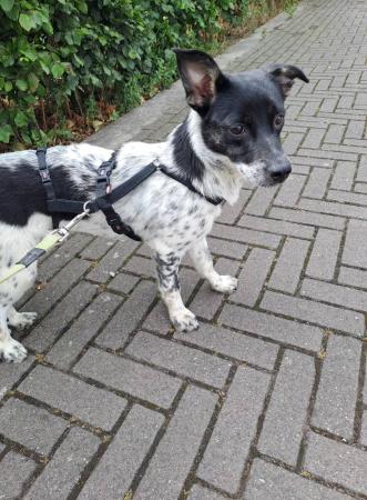 Zina
