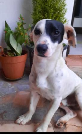 Lucas