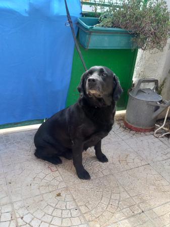 Heidi