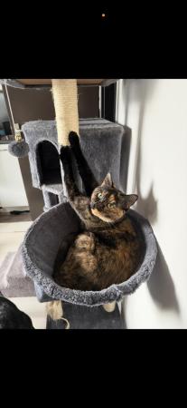 Bella