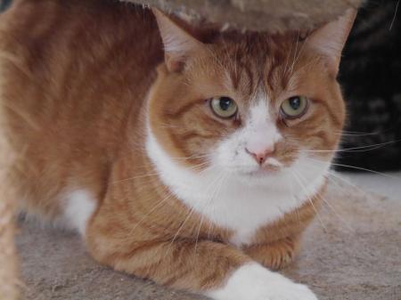 Bilbo