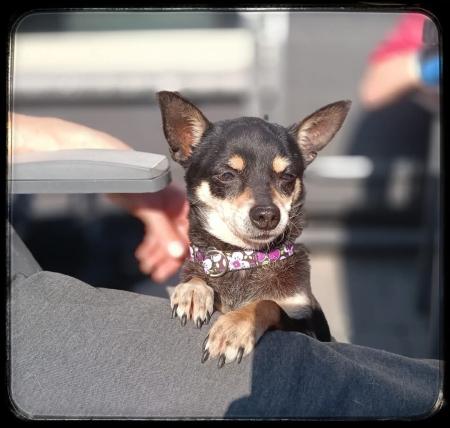 Lola