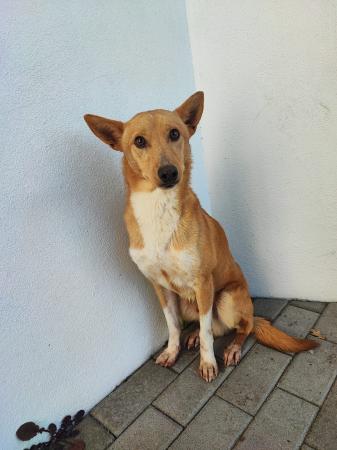 Paco