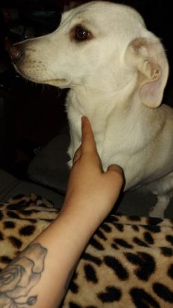 Bailey