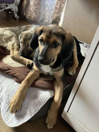 Rusty
