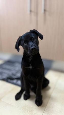 Benny