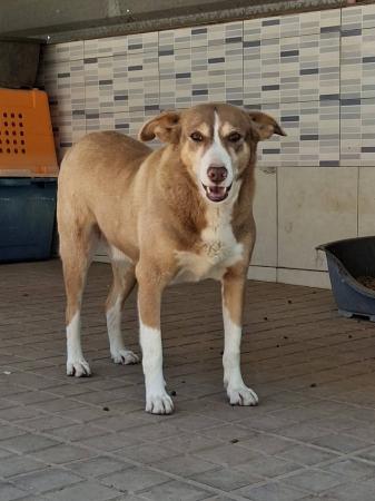 Daddy