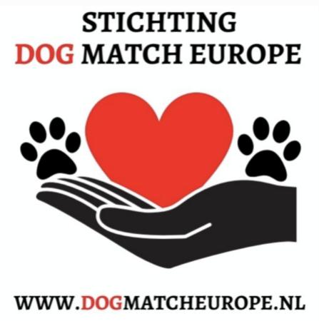 Stichting Dog Match Europe 