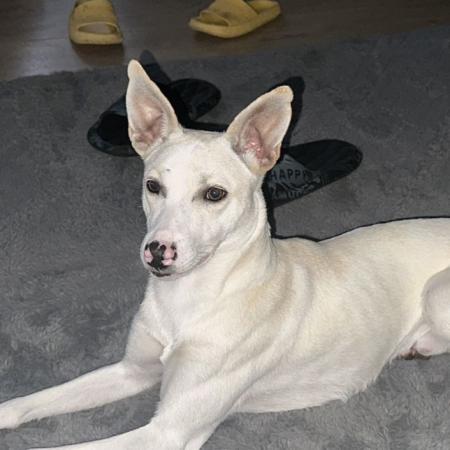 Max