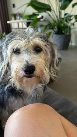 Zula