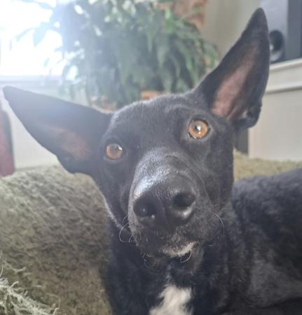Samantha