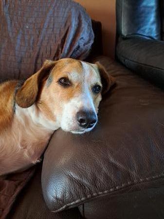 Cooper