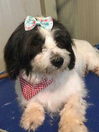 Clara