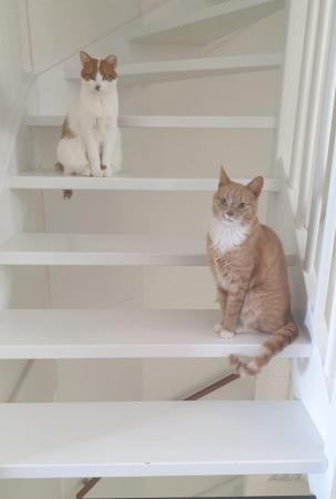 MaxMinnie