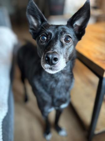 Abby