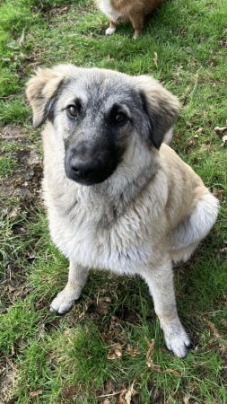 Sam