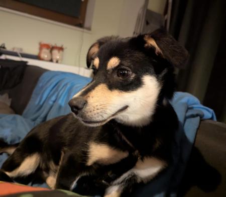 Milo