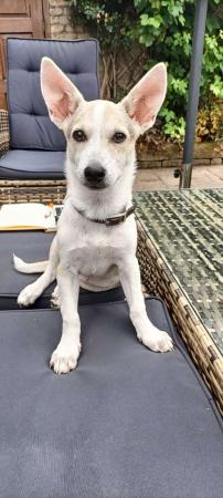 Fiona
