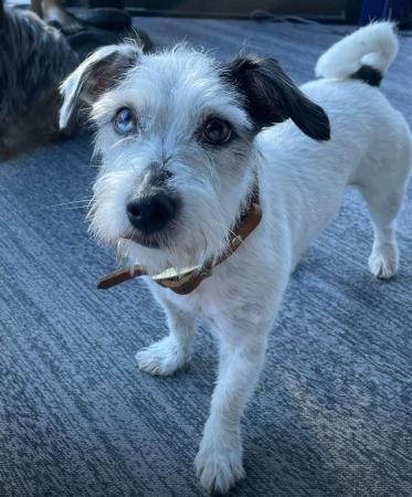 Pip