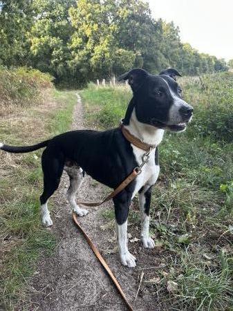 Max