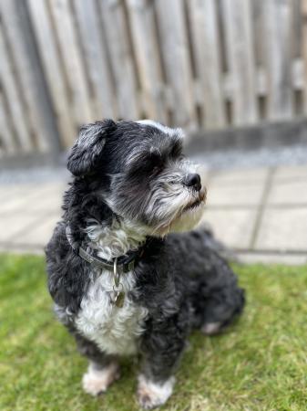 Bobby