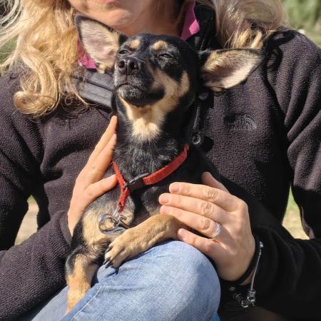 Dobbie