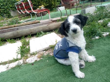 Nelly