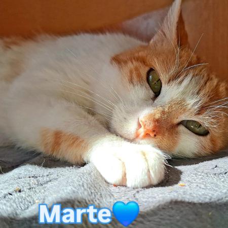 Marte