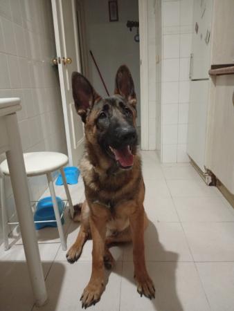 Zeus