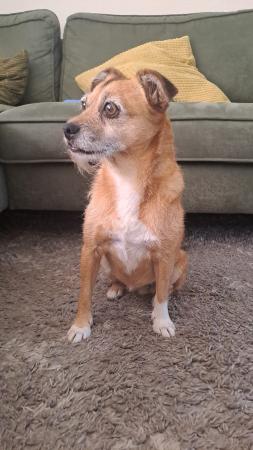Nella
