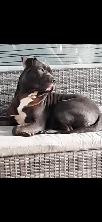 Diego