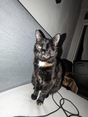 Atje